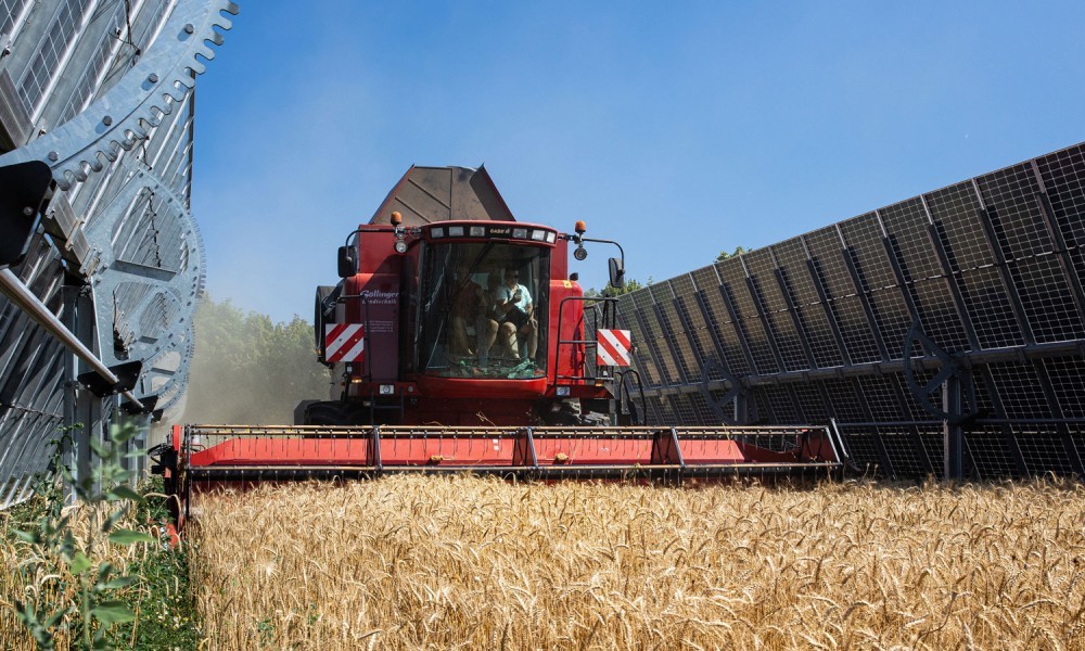 EWS Sonnenfeld Ernte