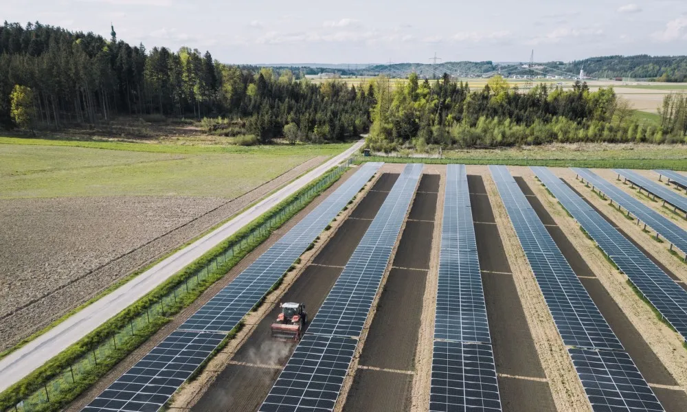 Ernte am EWS Sonnenfeld Pischelsdorf am Engelbach Ernte am EWS Sonnenfeld Pischelsdorf am Engelbach