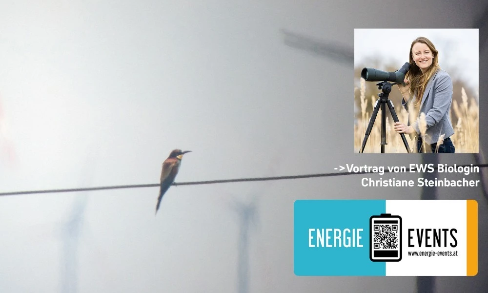 Vögel und Windräder, Energie Events mit Nane Steinbacher Vögel und Windräder, Energie Events mit Nane Steinbacher