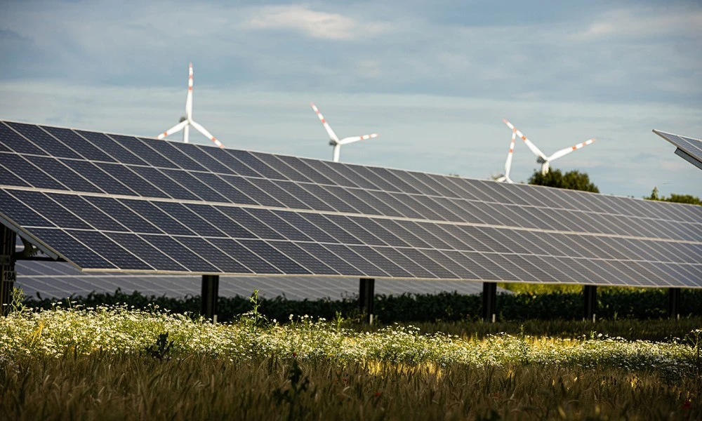 Wind- und Sonnenenergie agri_pv_23_cknie_475_web.jpg