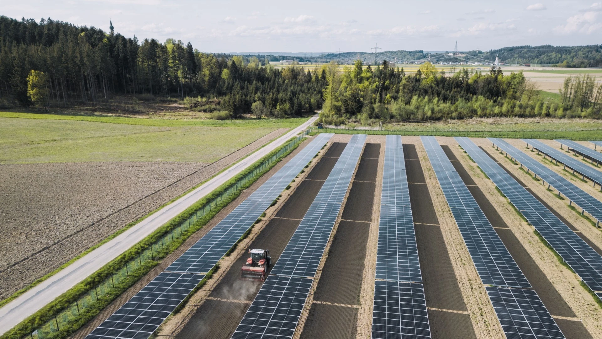 Ernte am EWS Sonnenfeld Pischelsdorf am Engelbach Ernte am EWS Sonnenfeld Pischelsdorf am Engelbach