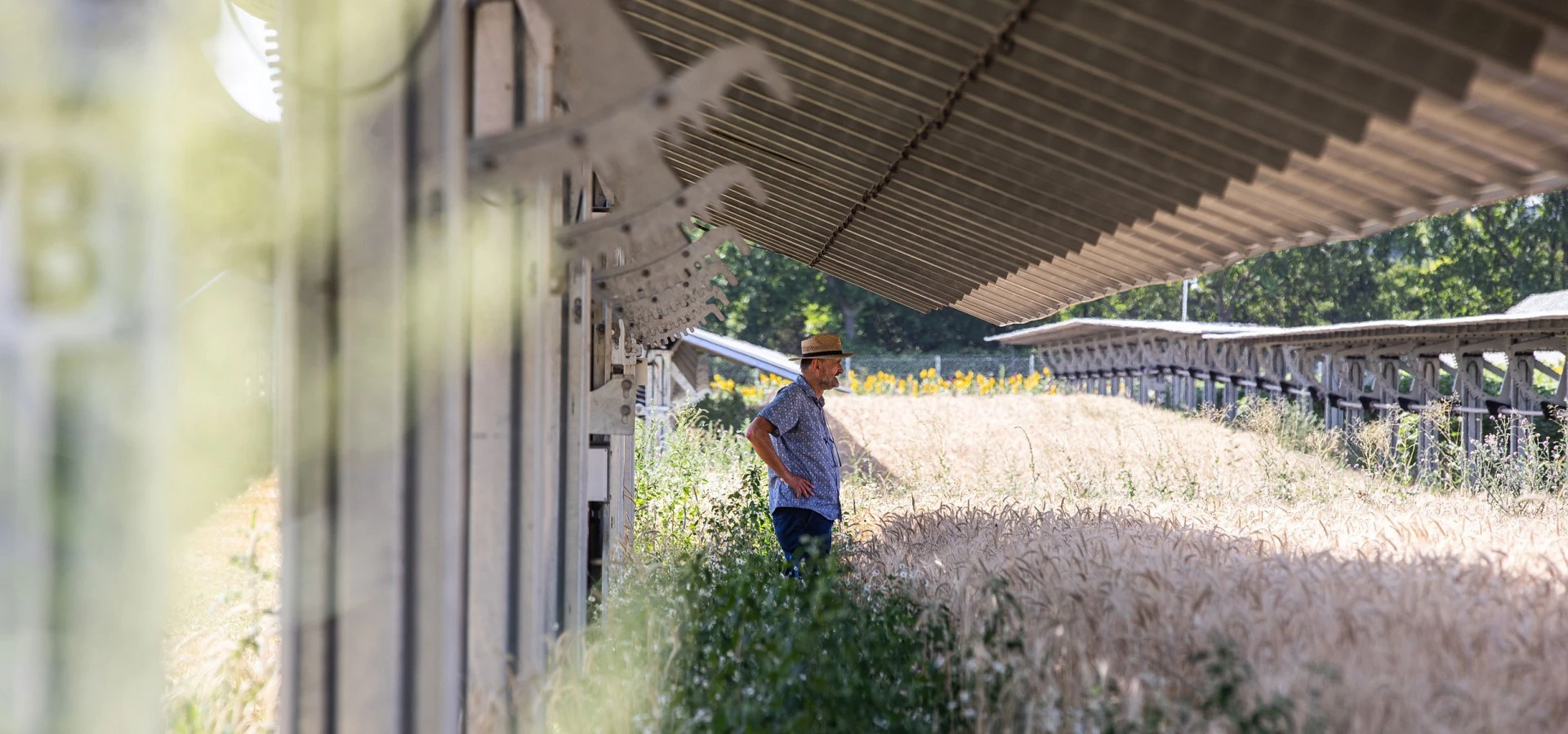 Agri-PV - keine Konkurrenz zur Lebensmittelproduktion 2025_image_solar_sonnenfeld_02.jpg
