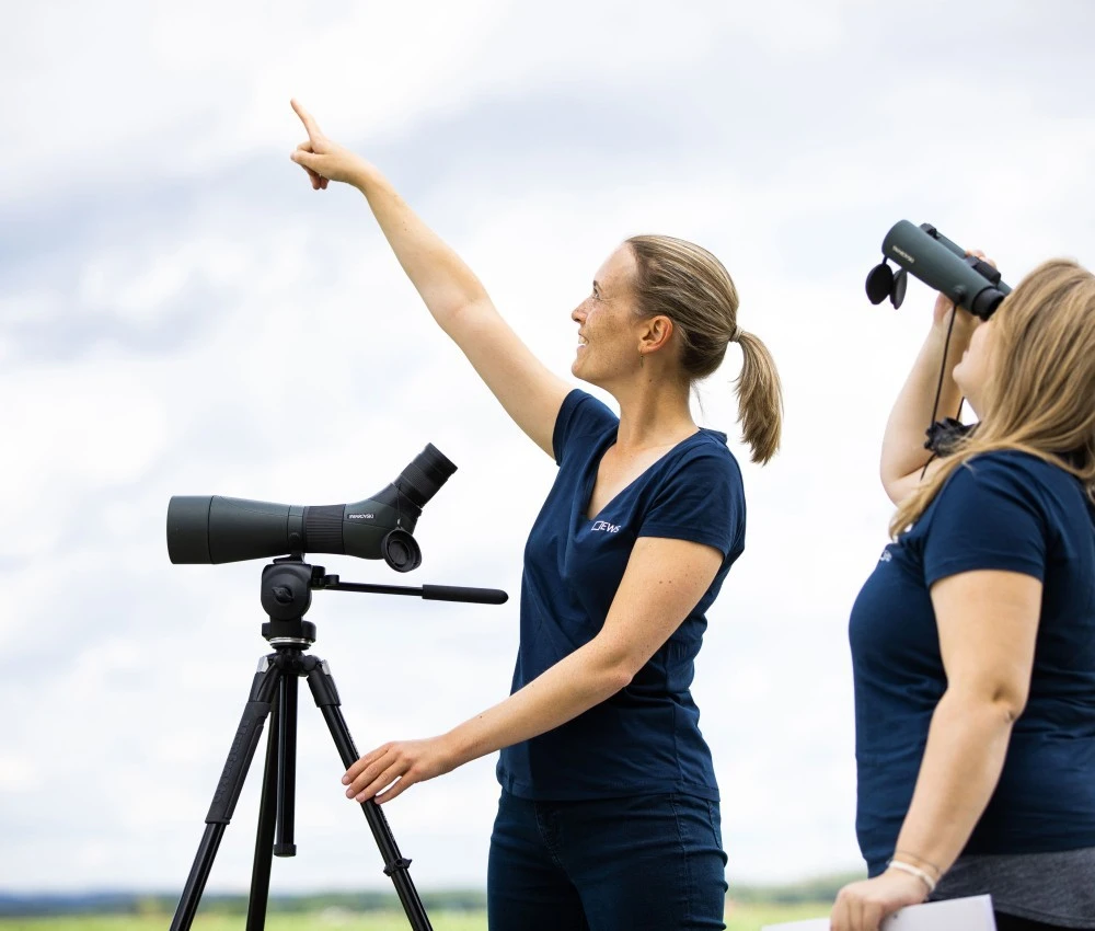 Ornithologische Erhebungen Ornithologische Erhebungen