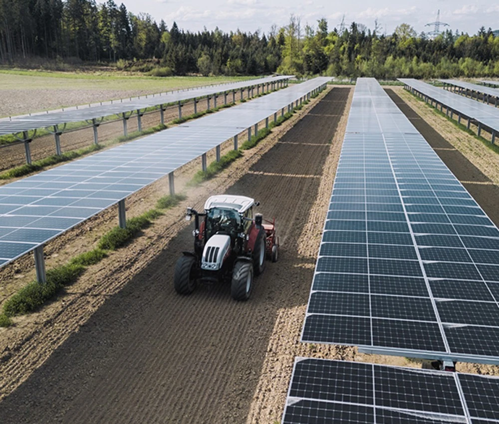 Doppelernte bringt Zusatzerlöse und Perspektive für Landwirt:innen Doppelernte bringt Zusatzerlöse und Perspektive für Landwirt:innen