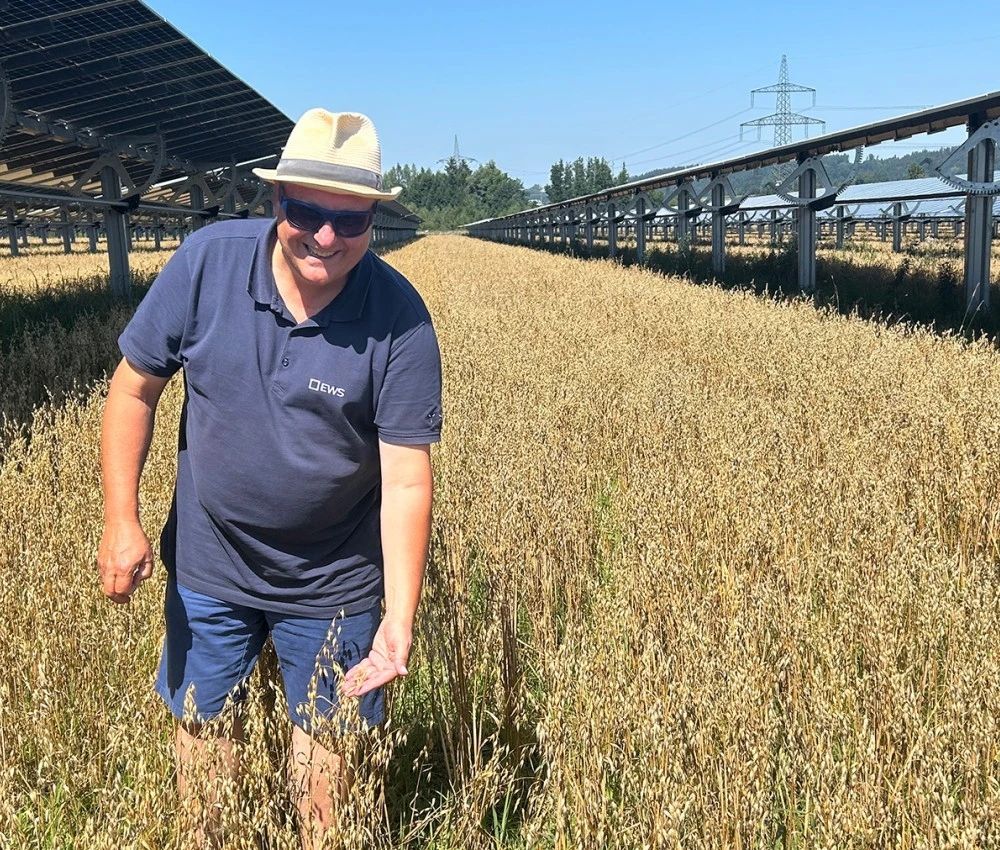 Gerhard Steindl begutachtet das Sonnenfeld Pischelsdorf in seiner vollen Pracht Gerhard Steindl begutachtet das Sonnenfeld Pischelsdorf in seiner vollen Pracht