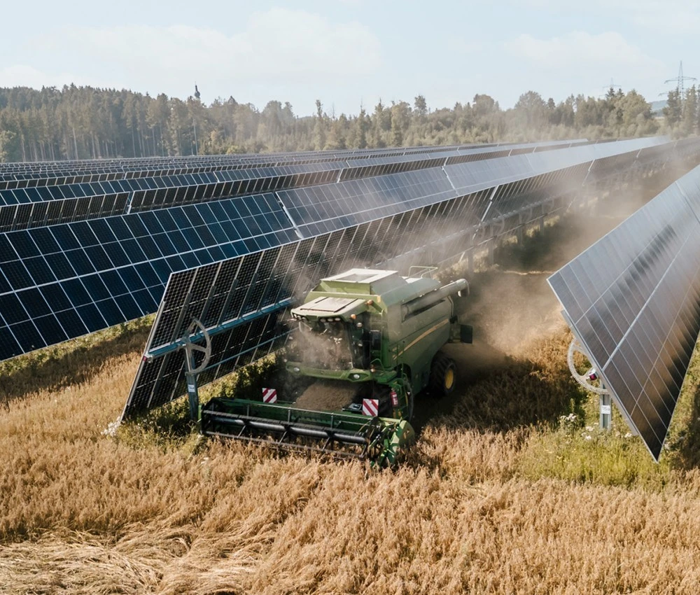 2025: Erste Ernte am Sonnenfeld Pischelsdorf. Steuerbare PV-Tracker erleichtern die maschinelle Bewirtschaftung. 2025: Erste Ernte am Sonnenfeld Pischelsdorf. Steuerbare PV-Tracker erleichtern die maschinelle Bewirtschaftung.