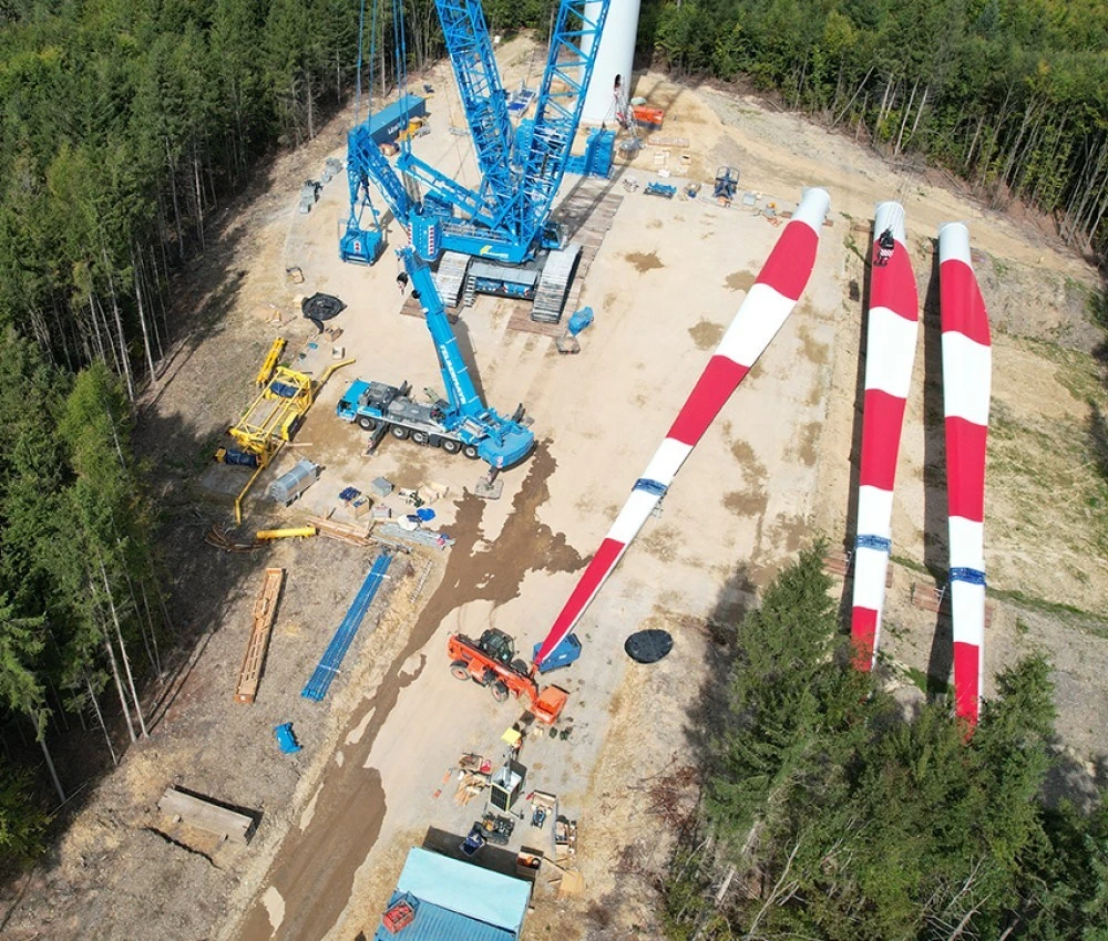 Windpark Munderfing Baumanagement