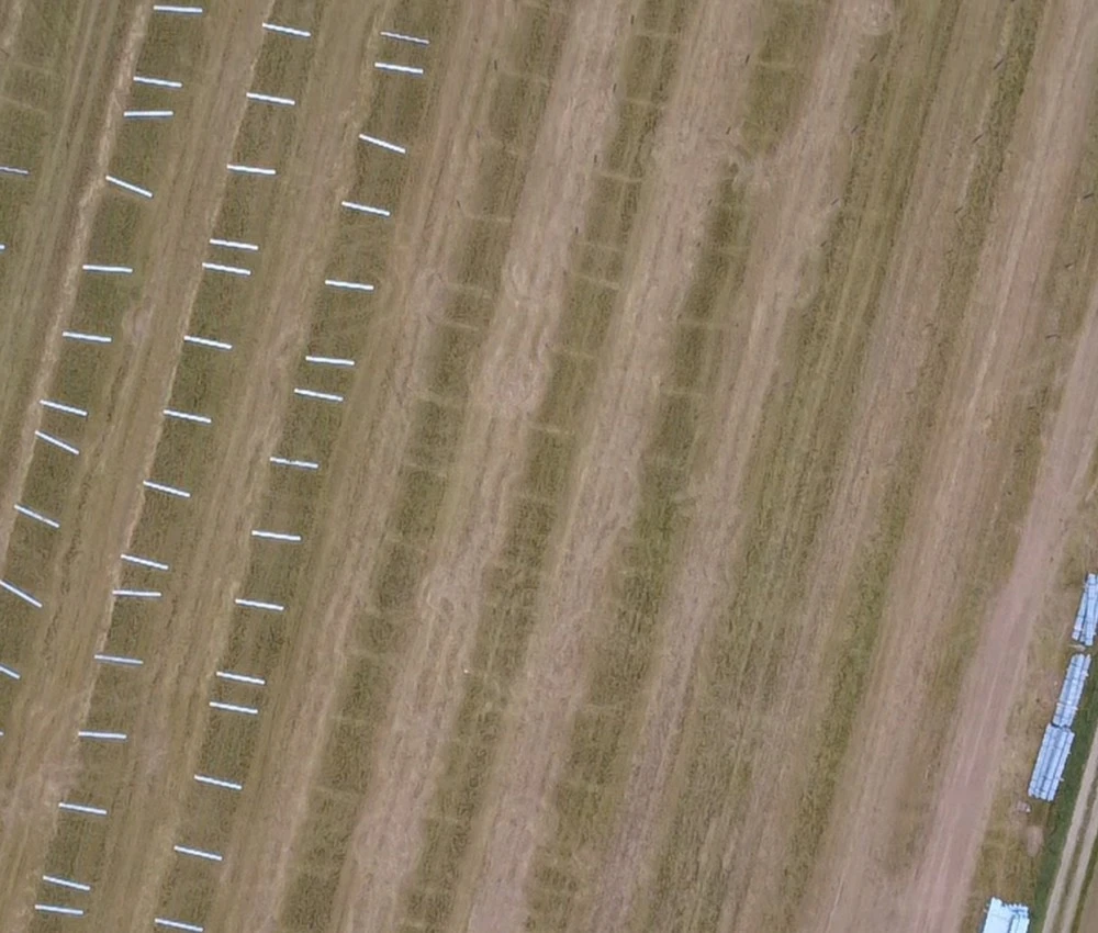 EWS Sonnenfeld Mining Das Rammen der Pfähle zur Befestigung der PV-Module schreitet voran.