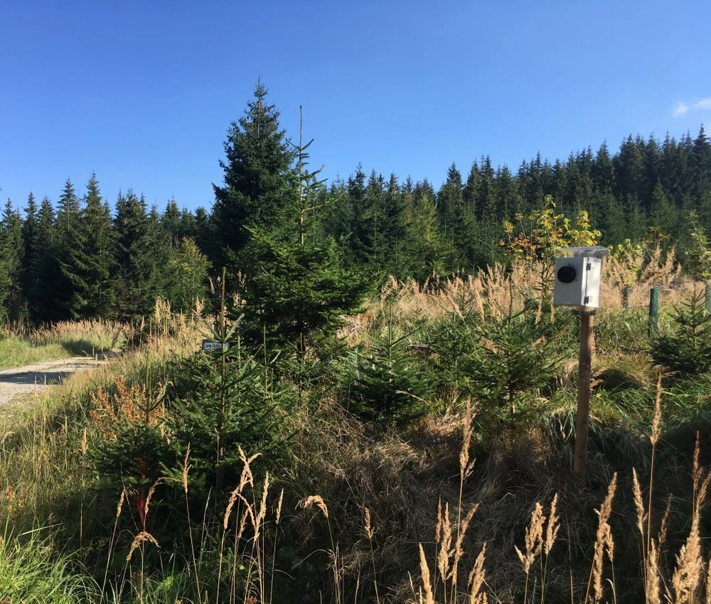 Windpark Lavamünd Fledermauserhebungen Windpark Lavamünd Fledermauserhebungen