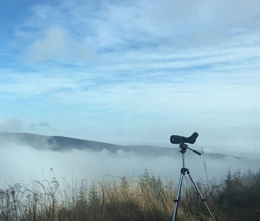 Windpark Lavamünd Ornithologische Erhebungen Windpark Lavamünd Ornithologische Erhebungen